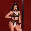 sexy bunny lingerie